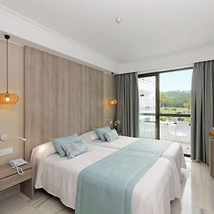 Superior Kamer met een King Size Bed